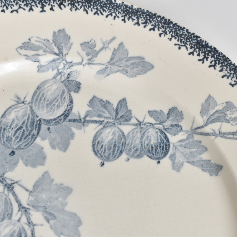 アンティークプレート U&Cサルグミンヌ Groseilles (グロゼイユ）2-B