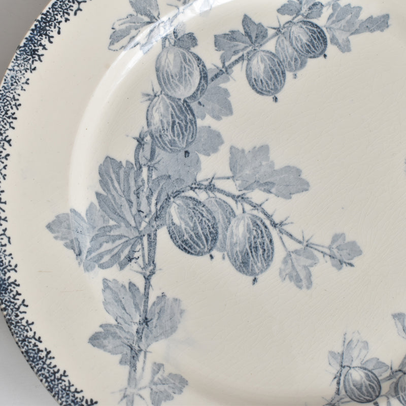 アンティークプレート U&Cサルグミンヌ Groseilles (グロゼイユ）2-B