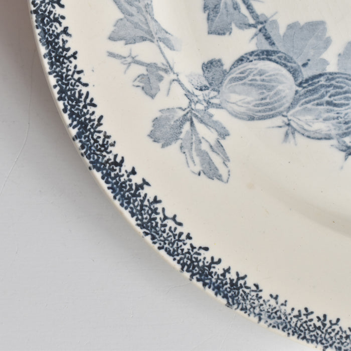 アンティークプレート U&Cサルグミンヌ Groseilles (グロゼイユ）2-B