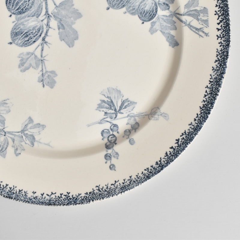 アンティークプレート U&Cサルグミンヌ Groseilles (グロゼイユ）2-B