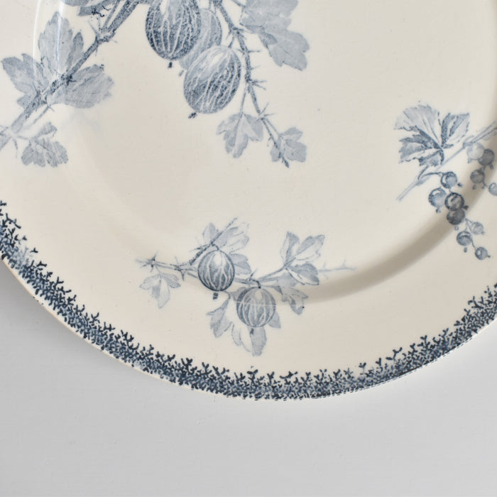 アンティークプレート U&Cサルグミンヌ Groseilles (グロゼイユ）2-B