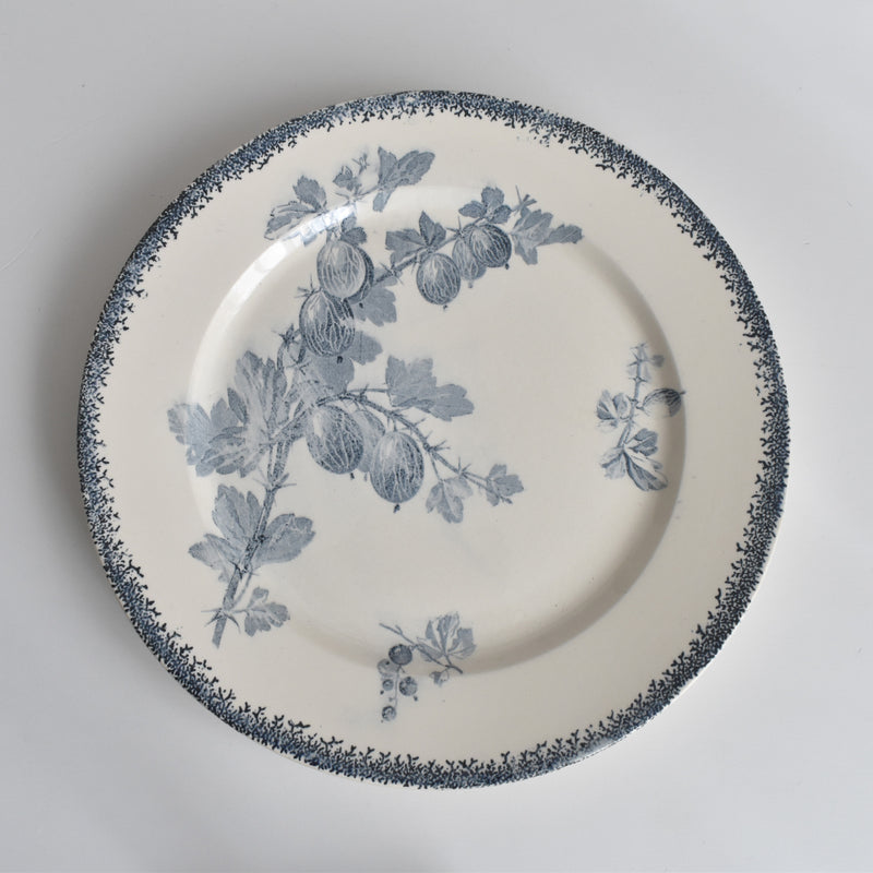 アンティークプレート U&Cサルグミンヌ Groseilles (グロゼイユ）2-C