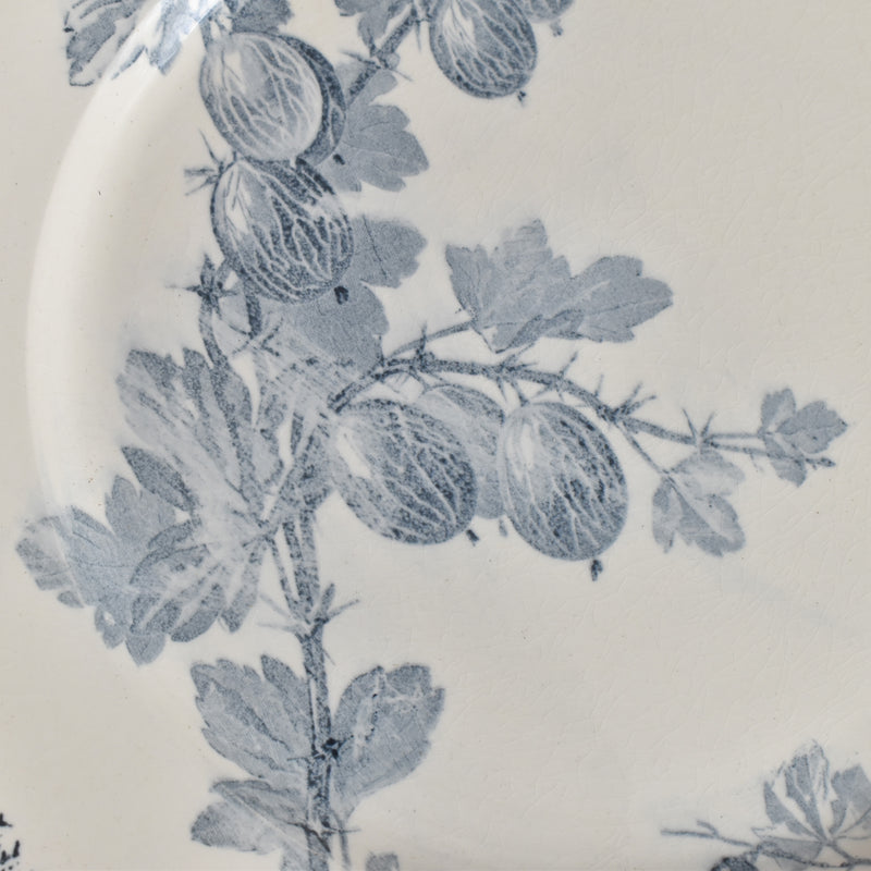 アンティークプレート U&Cサルグミンヌ Groseilles (グロゼイユ）2-C