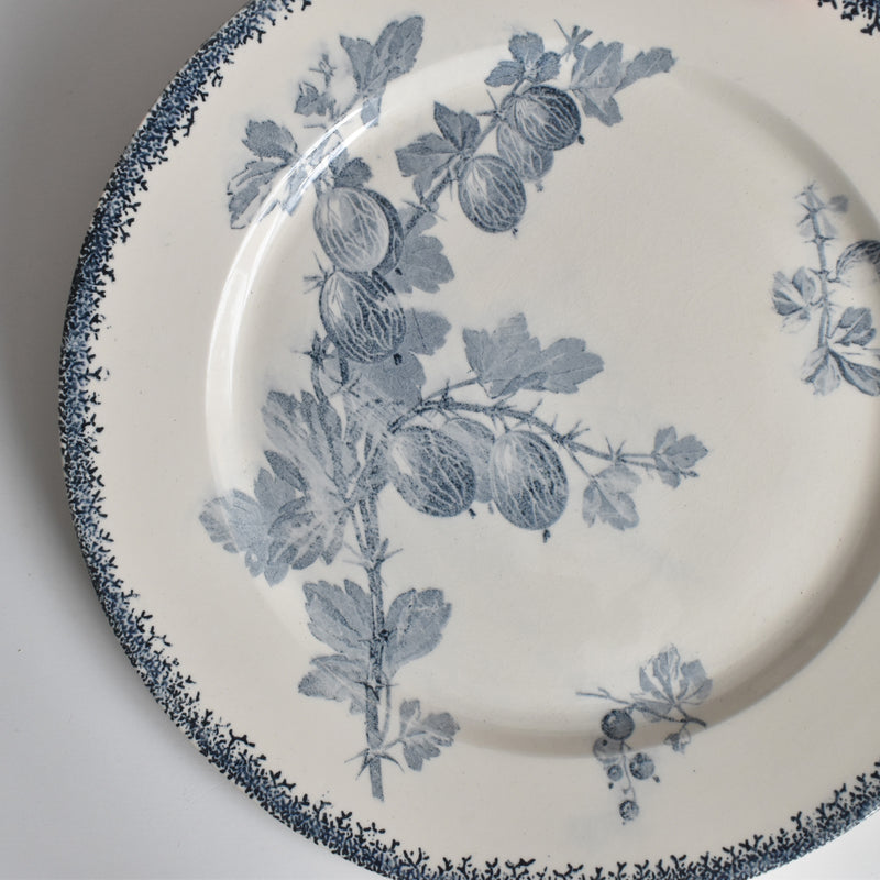 アンティークプレート U&Cサルグミンヌ Groseilles (グロゼイユ）2-C