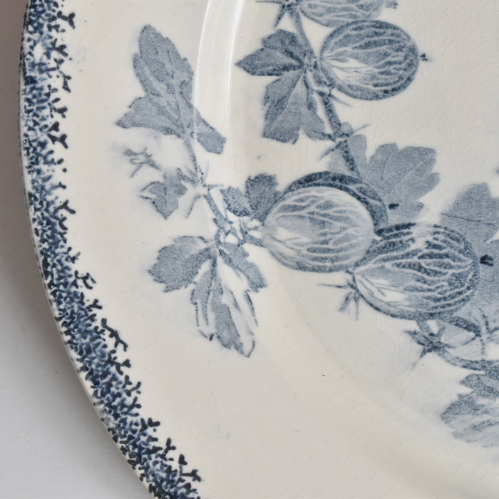 アンティークプレート U&Cサルグミンヌ Groseilles (グロゼイユ）2-C