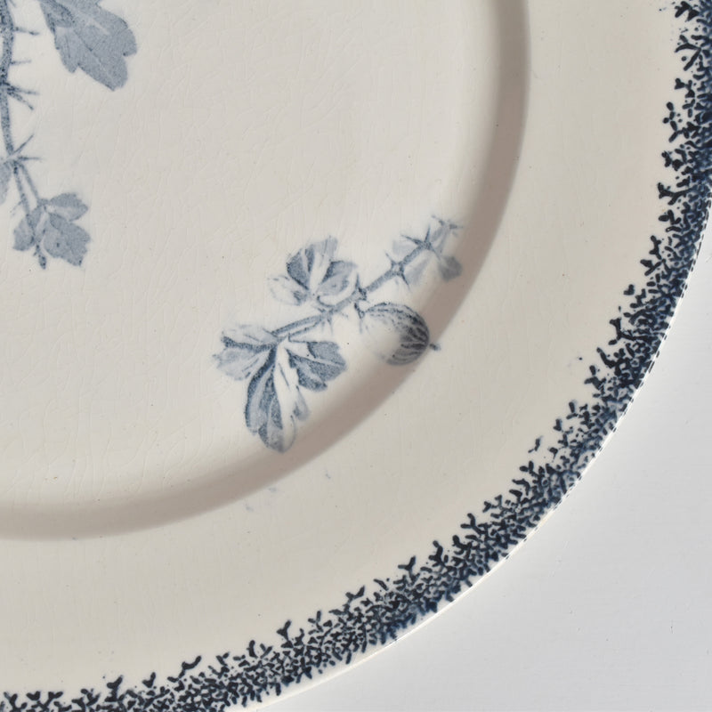 アンティークプレート U&Cサルグミンヌ Groseilles (グロゼイユ）2-C