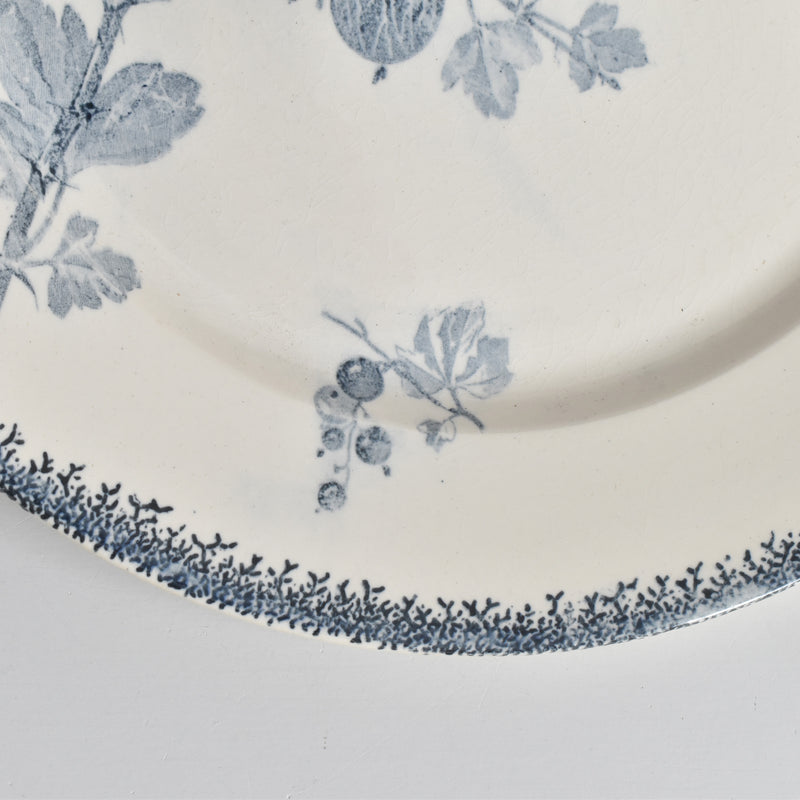 アンティークプレート U&Cサルグミンヌ Groseilles (グロゼイユ）2-C