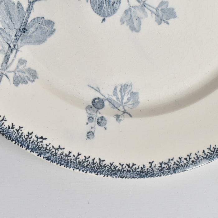 アンティークプレート U&Cサルグミンヌ Groseilles (グロゼイユ）2-C