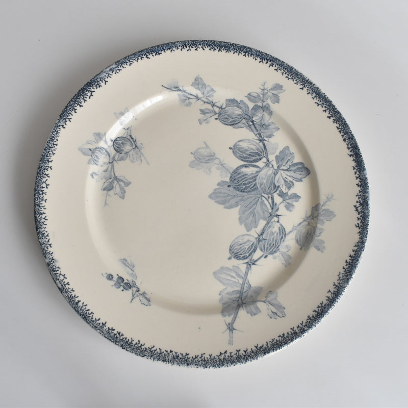 アンティークプレート U&Cサルグミンヌ Groseilles (グロゼイユ）2-D