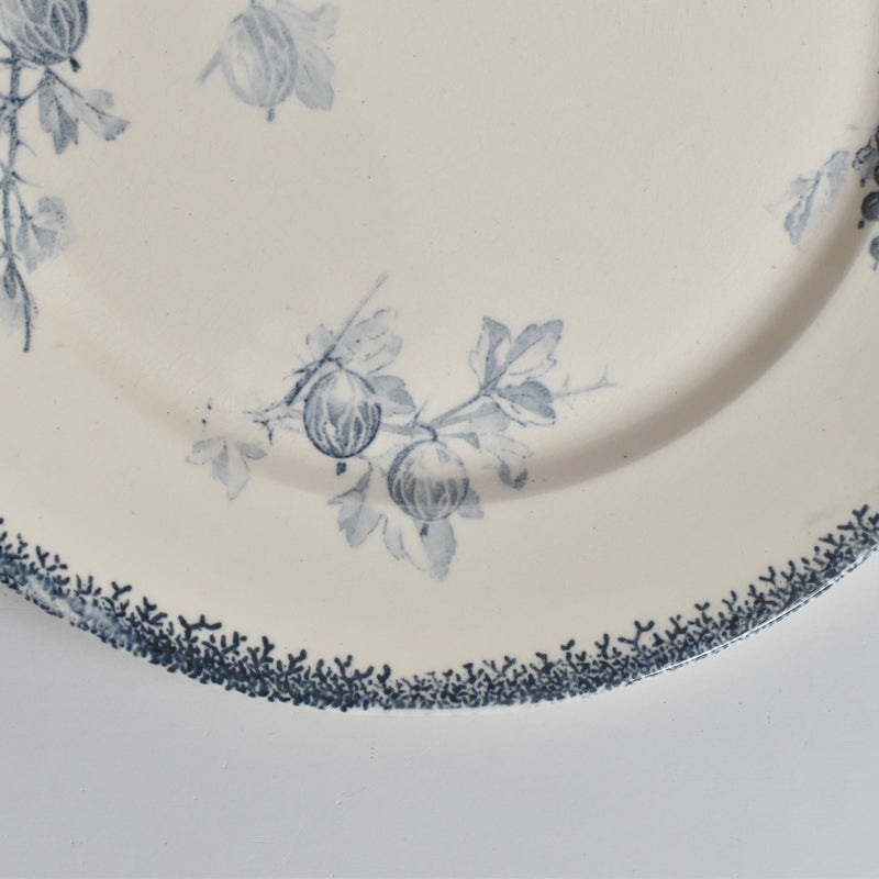 アンティークプレート U&Cサルグミンヌ Groseilles (グロゼイユ）2-D