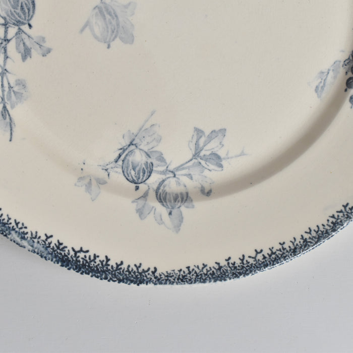 アンティークプレート U&Cサルグミンヌ Groseilles (グロゼイユ）2-D