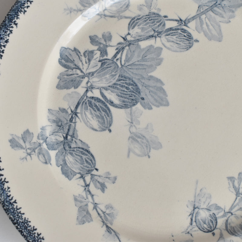 アンティークプレート U&Cサルグミンヌ Groseilles (グロゼイユ）2-D