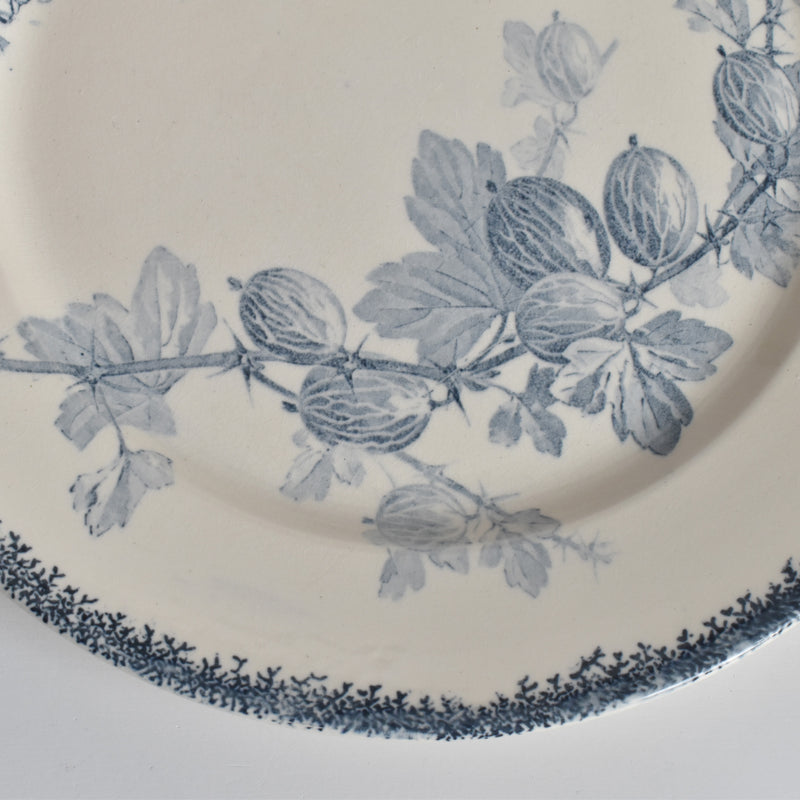 アンティークプレート U&Cサルグミンヌ Groseilles (グロゼイユ）2-D