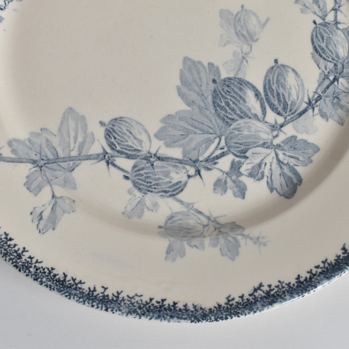 アンティークプレート U&Cサルグミンヌ Groseilles (グロゼイユ）2-D