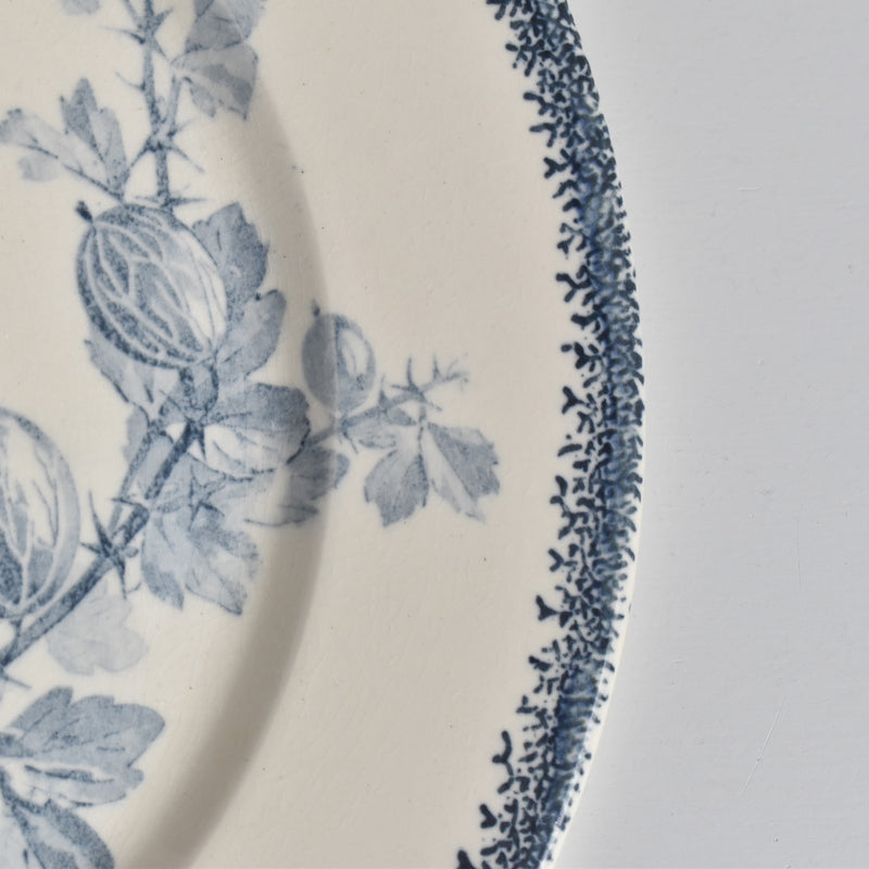 アンティークプレート U&Cサルグミンヌ Groseilles (グロゼイユ）2-D