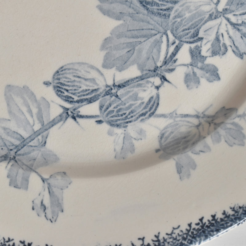 アンティークプレート U&Cサルグミンヌ Groseilles (グロゼイユ）2-D