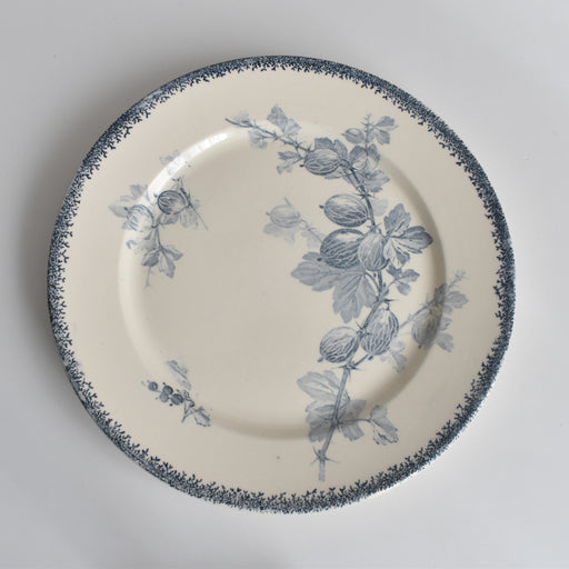 アンティークプレート U&Cサルグミンヌ Groseilles (グロゼイユ）2-D