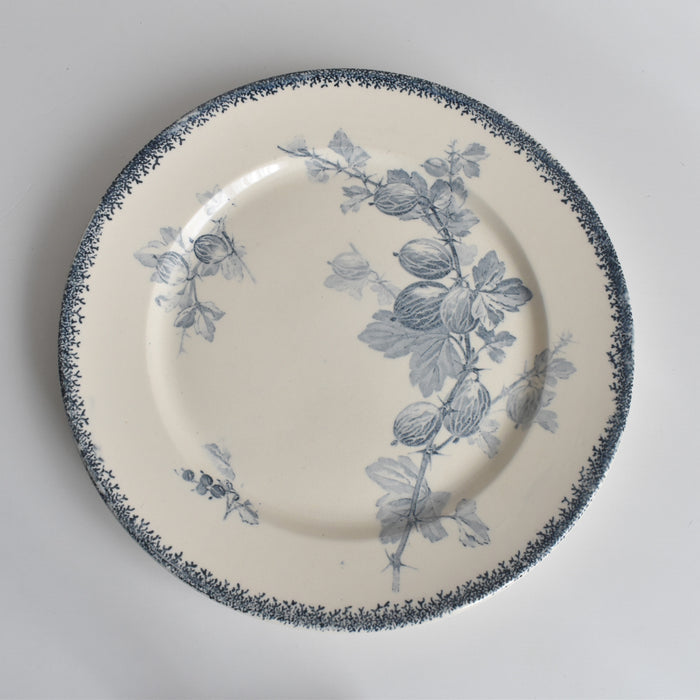 アンティークプレート U&Cサルグミンヌ Groseilles (グロゼイユ）2-D