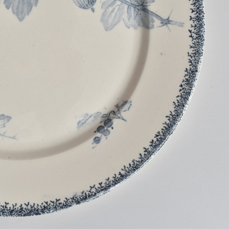 アンティークプレート U&Cサルグミンヌ Groseilles (グロゼイユ）2-D