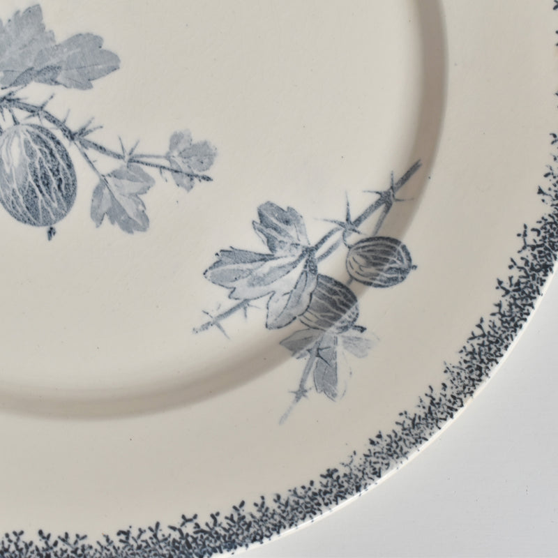 アンティークプレート U&Cサルグミンヌ Groseilles (グロゼイユ）2-E