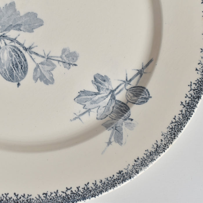 アンティークプレート U&Cサルグミンヌ Groseilles (グロゼイユ）2-E