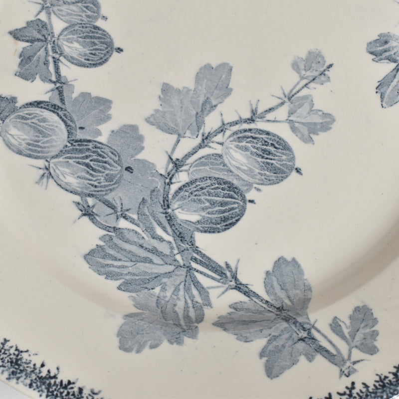 アンティークプレート U&Cサルグミンヌ Groseilles (グロゼイユ）2-E