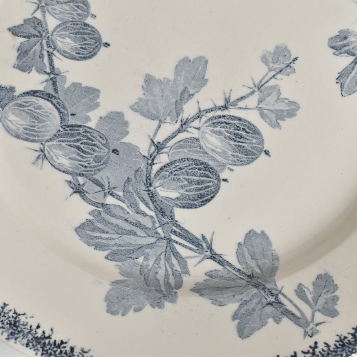 アンティークプレート U&Cサルグミンヌ Groseilles (グロゼイユ）2-E