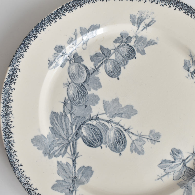 アンティークプレート U&Cサルグミンヌ Groseilles (グロゼイユ）2-E