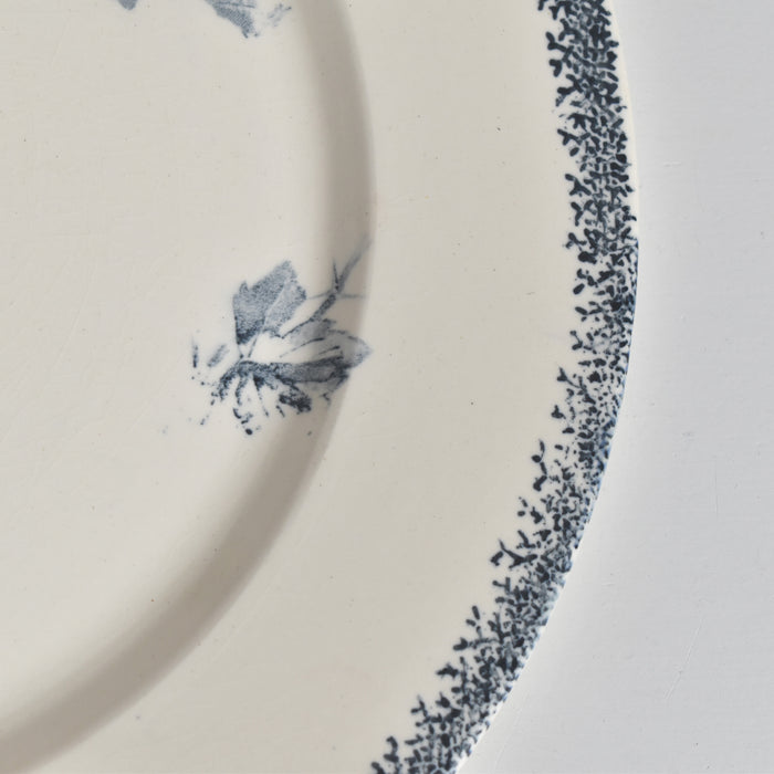 アンティークプレート U&Cサルグミンヌ Groseilles (グロゼイユ）2-E