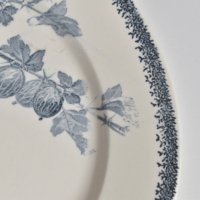 アンティークプレート U&Cサルグミンヌ Groseilles (グロゼイユ）2-E