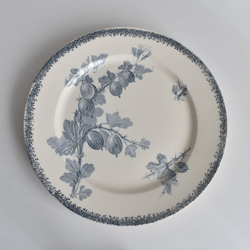 アンティークプレート U&Cサルグミンヌ Groseilles (グロゼイユ）2-E