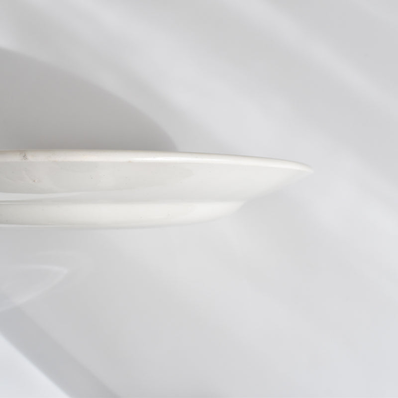 Vintage Plate Digoin & Sarreguemines HOUX (Holly) A