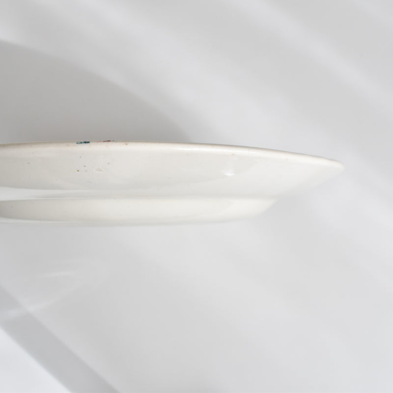 Vintage Plate Digoin & Sarreguemines HOUX (Holly) B