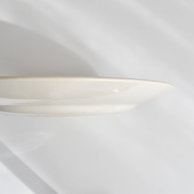Vintage plate: Digoin & Sarreguemines HOUX (Holly) C