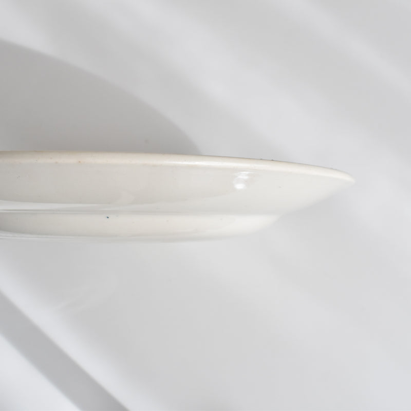 Vintage Plate Digoin & Sarreguemines HOUX (Holly) E