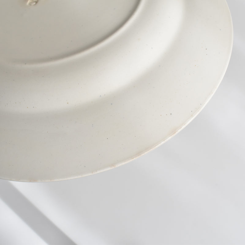Vintage Plate: Digoin & Sarreguemines HOUX (Holly) F