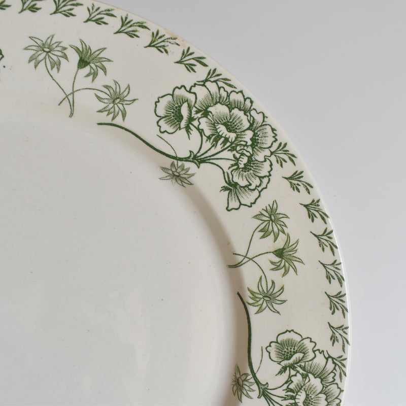 Antique Plate - U&C Sarreguemines Palmyre C