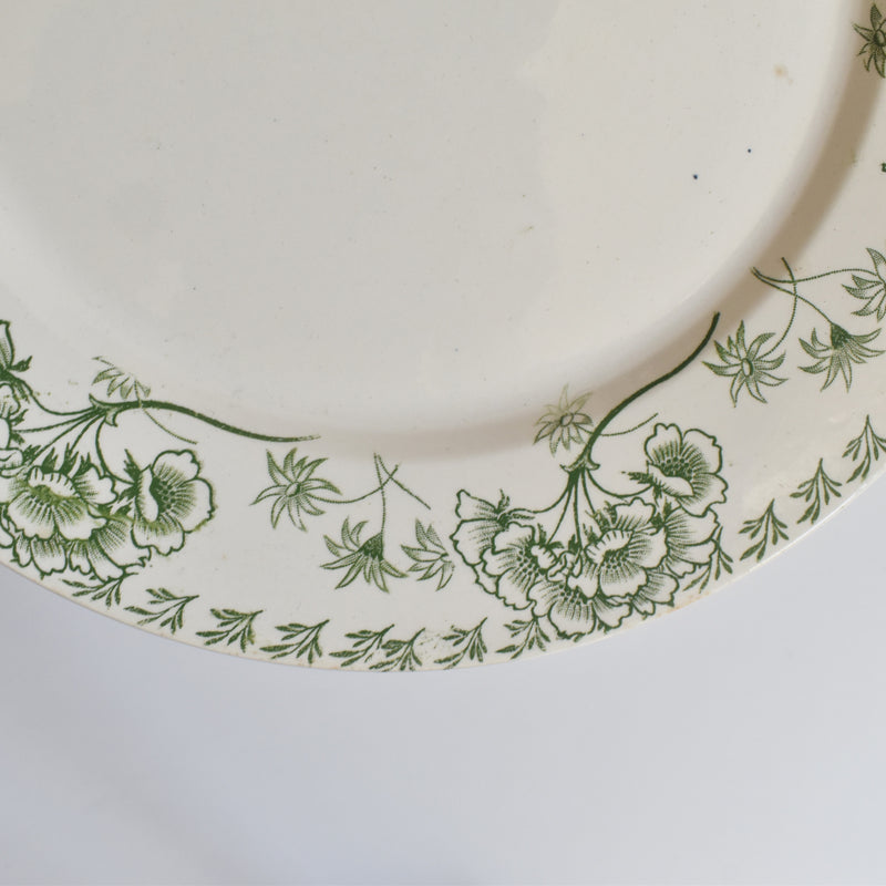 Antique Plate - U&C Sarreguemines Palmyre C