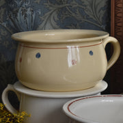 ヴィンテージポット ディゴワン＆サルグミンヌ ドット