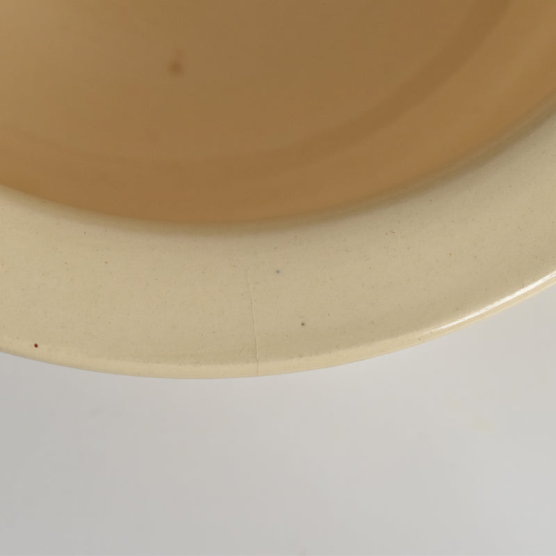 ヴィンテージポット ディゴワン＆サルグミンヌ ドット