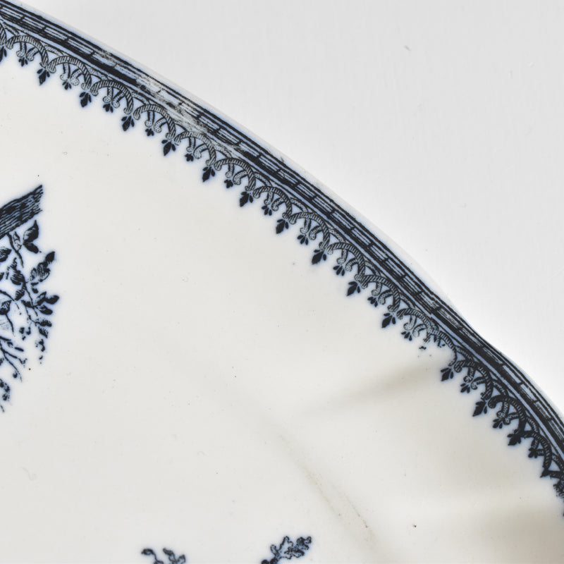 Antique Raviere Pexonne Rocaille B