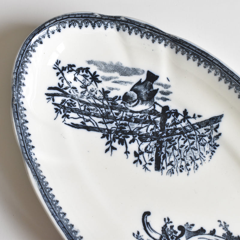 Antique Raviere Pexonne Rocaille B