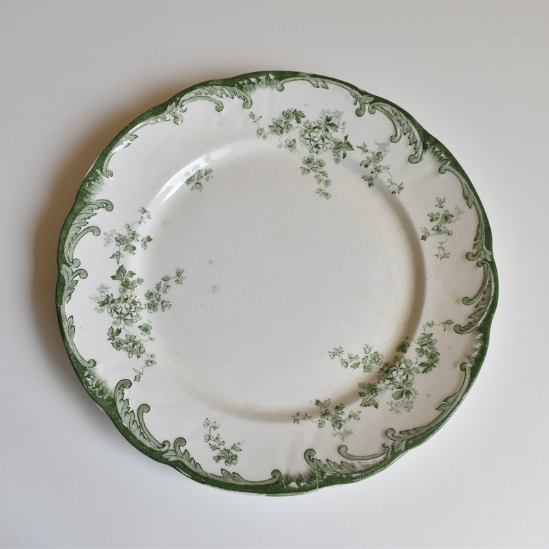 Antique Plate Ridgway Chiswick F