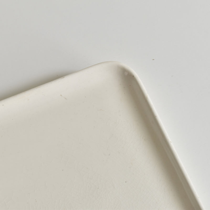 Antique Ceramic Tray, Germany, Roesler Rodach