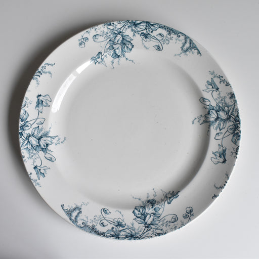 アンティーク大皿 クレールフォンテーヌ Cyclamens (シクラメン)