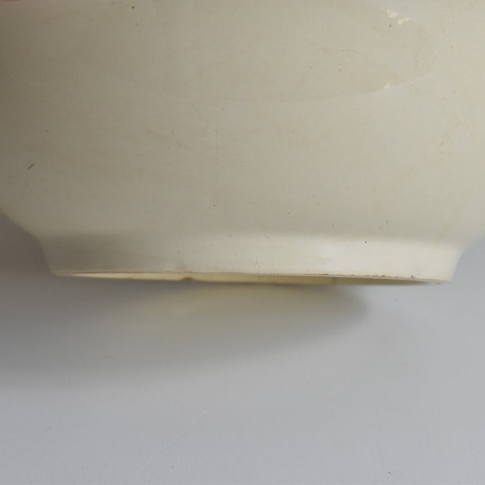 ヴィンテージサラダボウル ディゴワン＆サルグミンヌ