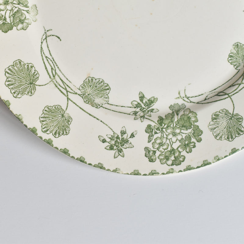 Antique Plate, U&C Sarreguemines, Géranium A