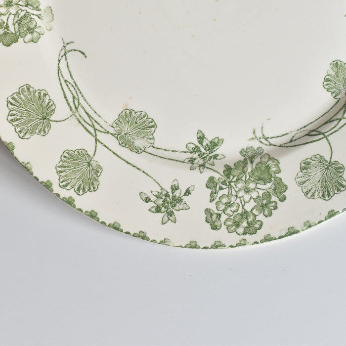 アンティークプレート U&C サルグミンヌ Géranium（ゼラニウム）A