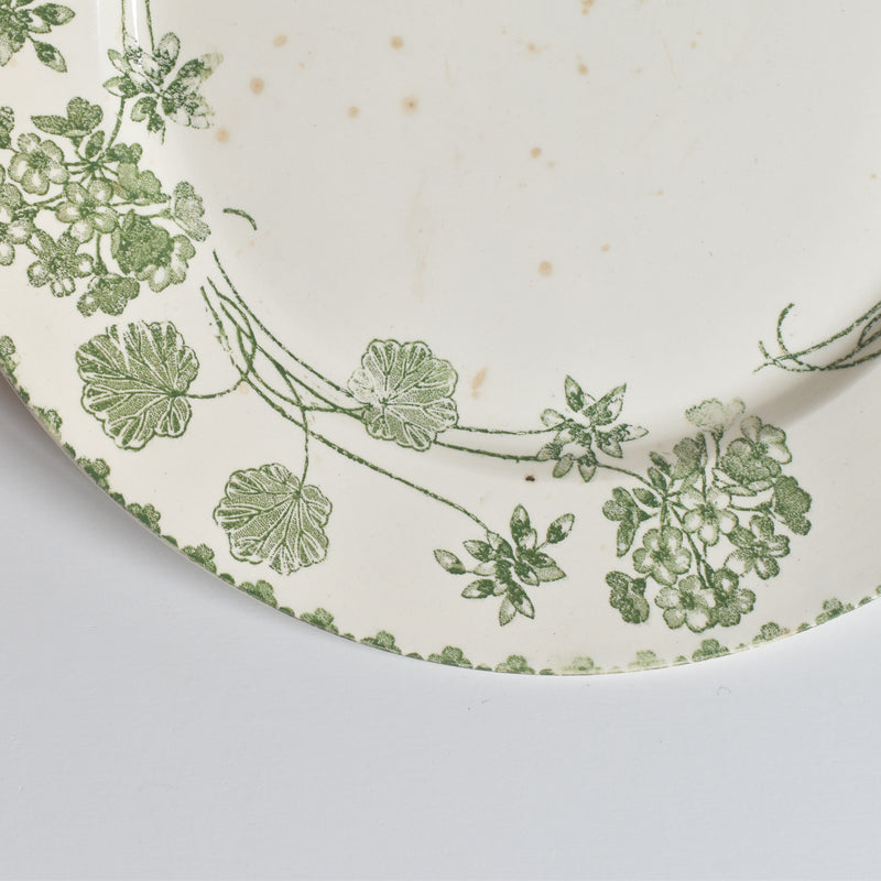 Antique Plate, U&C Sarreguemines, Géranium A
