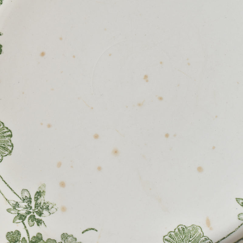 Antique Plate, U&C Sarreguemines, Géranium A